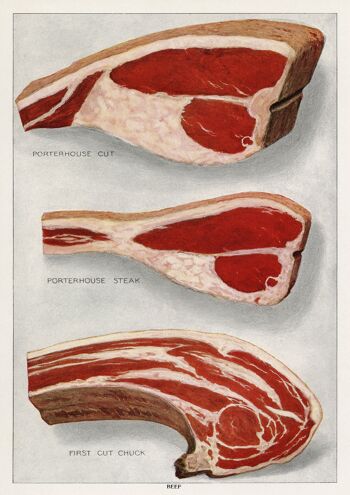 AFFICHES DE BOUCHER : Encyclopédie de l'épicier Saucisse et biftecks Viande Art Prints - A3 - Boeuf