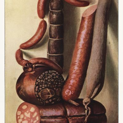 METZGER-POSTER: Grocer's Encyclopedia Wurst und Steaks Fleisch-Kunstdrucke – 16 x 24" – Würstchen