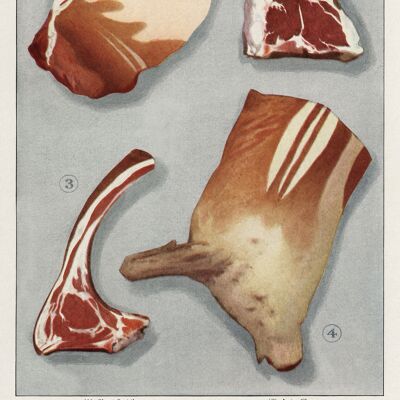 BUTCHER POSTERS: Grocer's Encylopedia Sausage and Steaks Meat Art Prints - 24 x 36" - Lamb