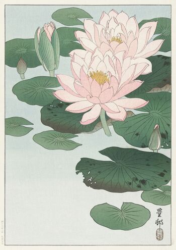 LILY AND LOTUS PRINTS: Oeuvres d'art japonaises par Ohara Koson - A3 - Nénuphar