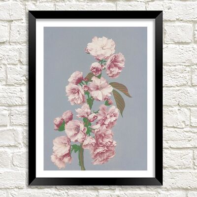 CHERRY BLOSSOM PRINT: fiori rosa foto arte - A5