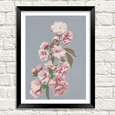 CHERRY BLOSSOM PRINT: Pink Flowers Photo Art - A5