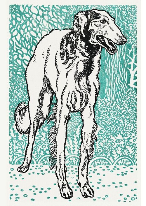 DOG ART PRINTS: Bulldog, Greyhound Artworks by Moriz Jung - A5 - Greyhound
