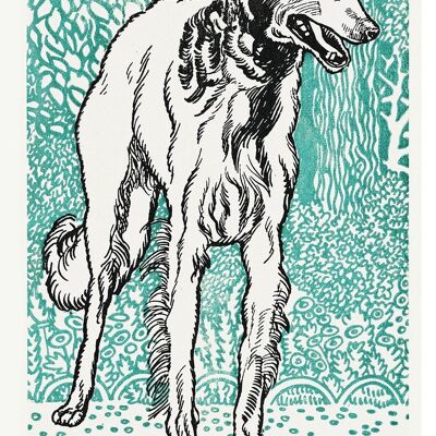 STAMPE D'ARTE DEL CANE: Bulldog, Greyhound Opere di Moriz Jung - A5 - Greyhound