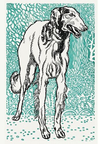 DOG ART PRINTS: Bulldog, Greyhound Oeuvres de Moriz Jung - A5 - Greyhound