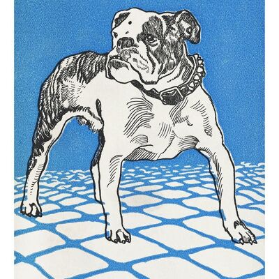 STAMPE D'ARTE DEL CANE: Bulldog, Greyhound Opere di Moriz Jung - A4 - Bulldog