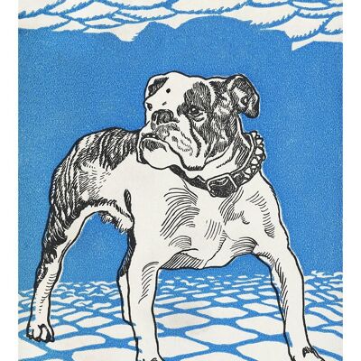 IMPRESIONES DE ARTE DE PERROS: Bulldog, Greyhound Obras de arte de Moriz Jung - A4 - Bulldog