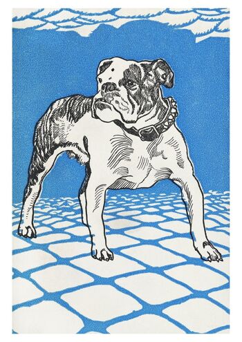 DOG ART PRINTS: Bulldog, Greyhound Artworks par Moriz Jung - A3 - Bulldog