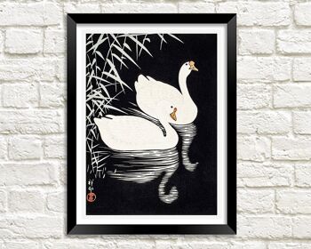 IMPRESSION D'ART D'OIES BLANCHES : Illustration d'oiseaux chinois vintage - A4