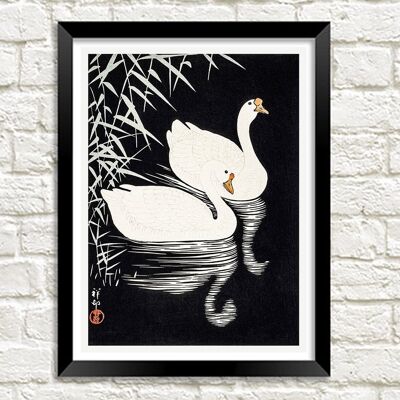 WHITE GEESE ART PRINT: Vintage Chinese Birds Illustration - A4