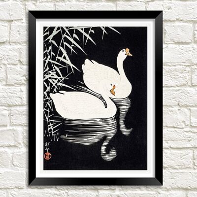 WHITE GEESE ART PRINT: Vintage Chinese Birds Illustration - A3