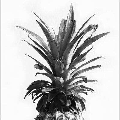 IMPRESIÓN DE PIÑA: Arte fotográfico en blanco y negro - A4