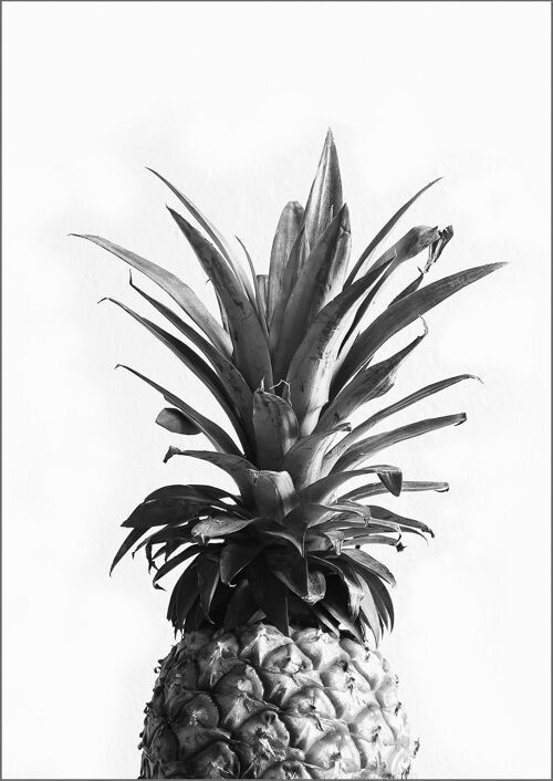 PINEAPPLE PRINT: Black and White Photography Art - 24 x 36"