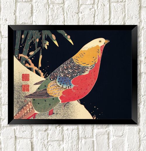 PHEASANT ART PRINT: Vintage Japanese Bird Illustration - A4