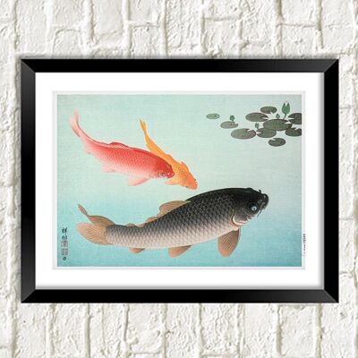 KOI CARP PRINT: Illustrazione di pesce giapponese vintage - A5
