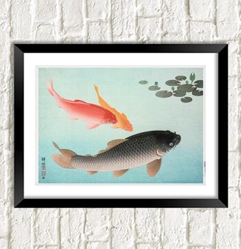 KOI CARP PRINT : Illustration de poisson japonais vintage - A3
