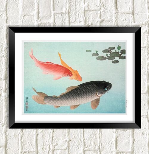KOI CARP PRINT: Vintage Japanese Fish Illustration - A4