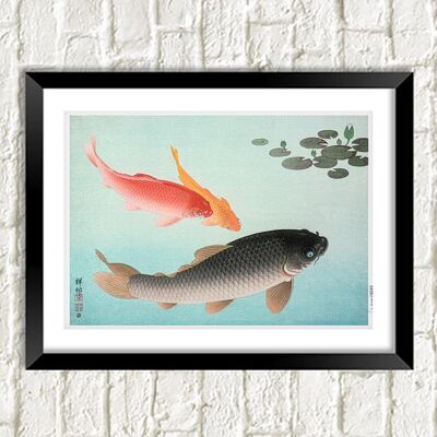 KOI CARP PRINT: Vintage Japanese Fish Illustration - A4