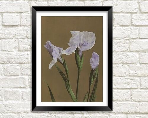 JAPANESE IRIS PRINT: Vintage Flower Art by Kazumasa - A5