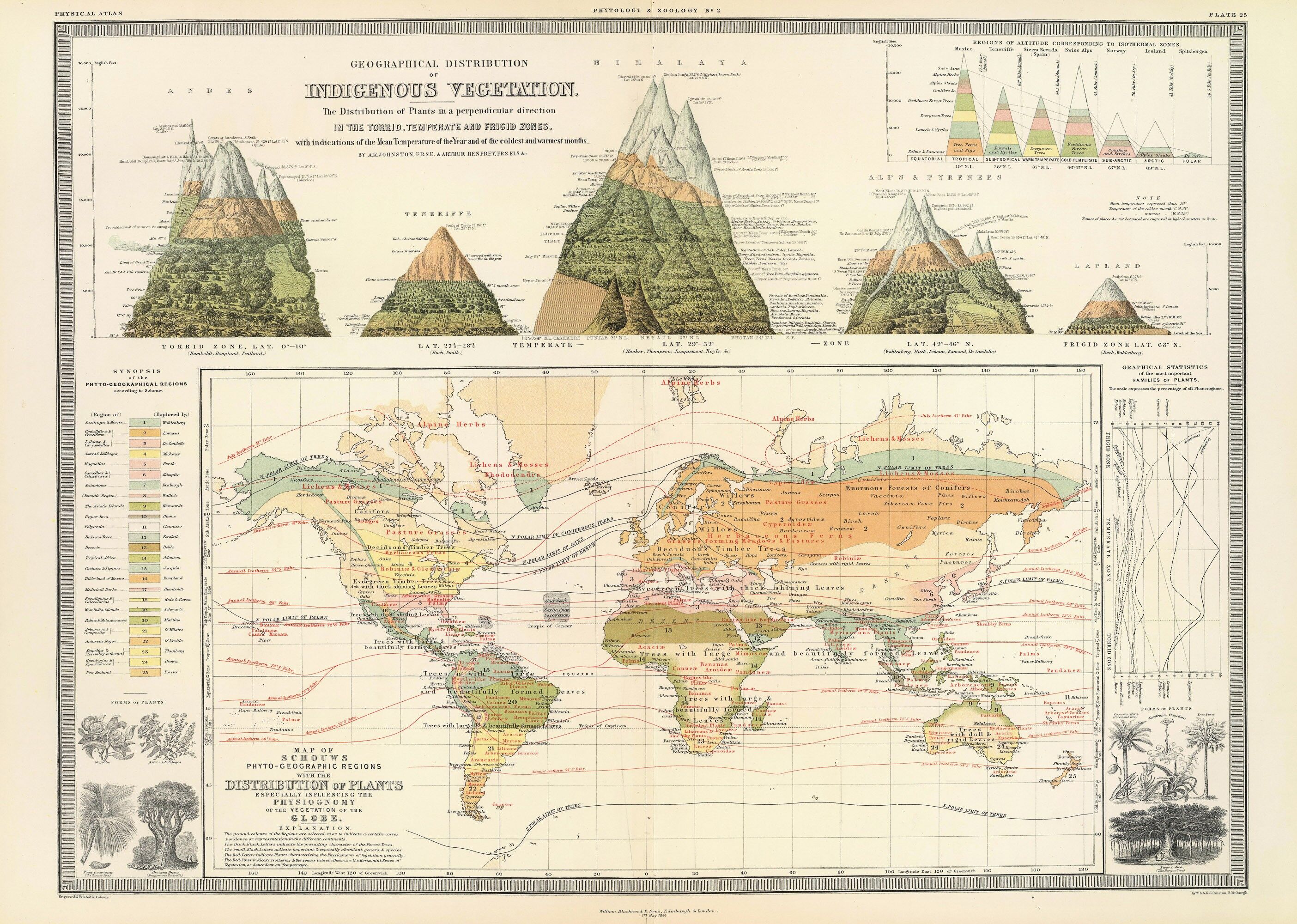 Poster Mappa del mondo della vegetazione 50x70