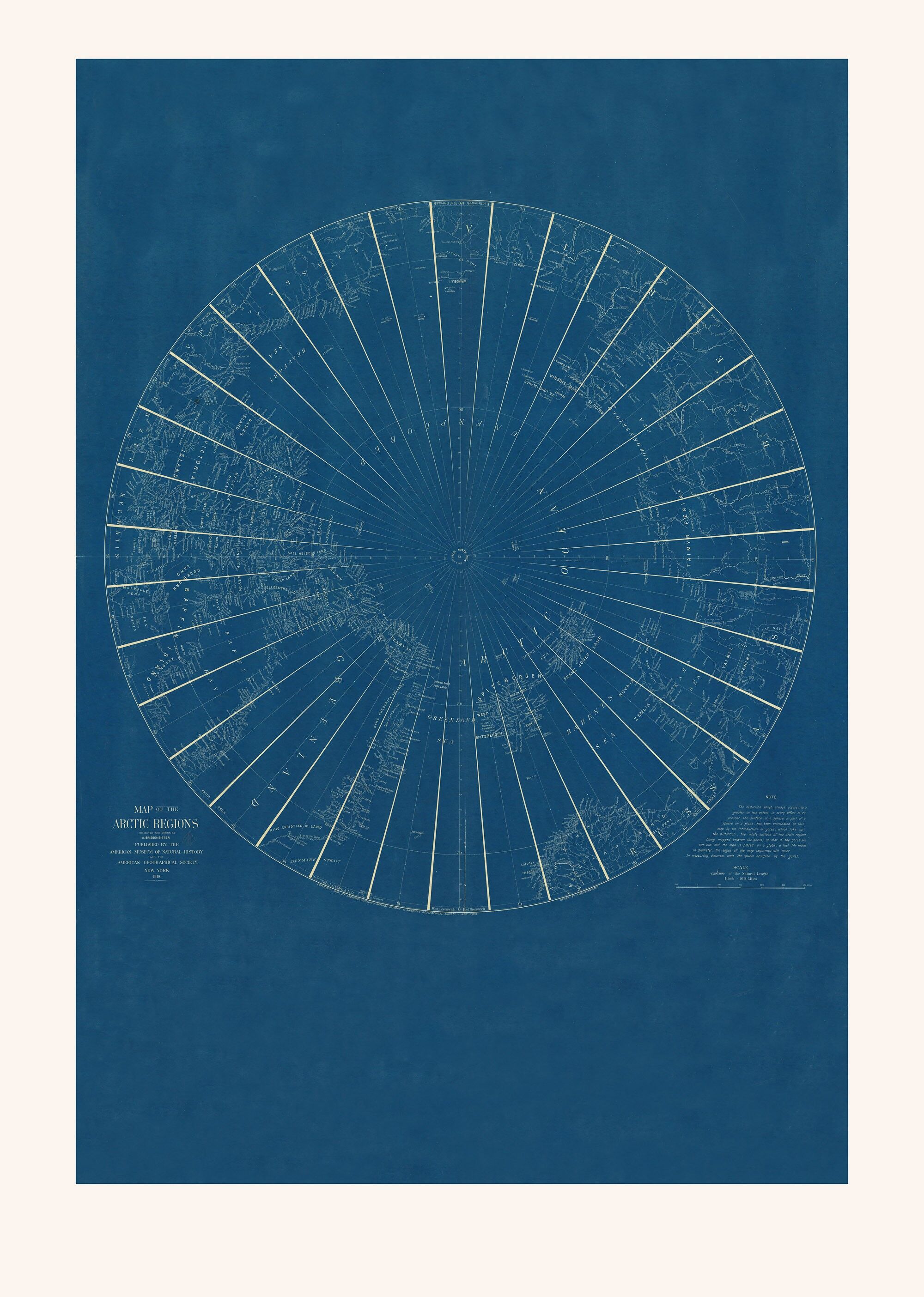 Poster 50x70 Arctic Blueprint