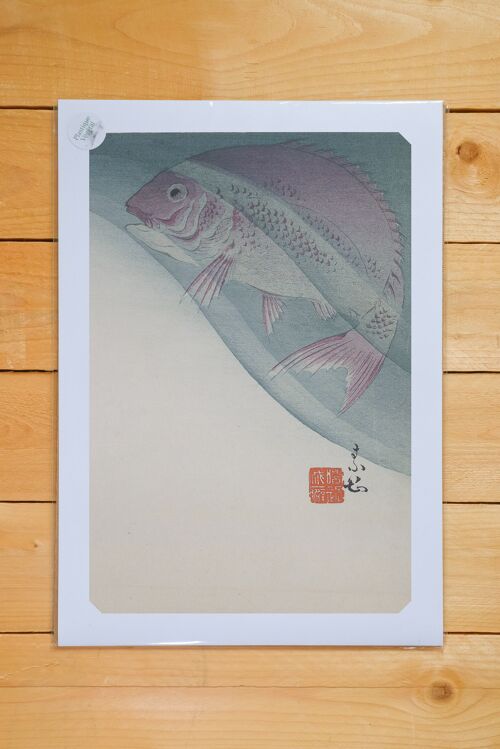 Poster A3 Fish In Water