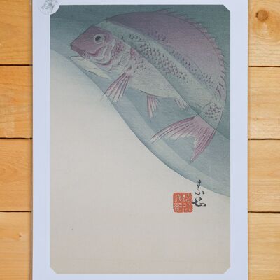 Poster A3 Pesce nell'acqua