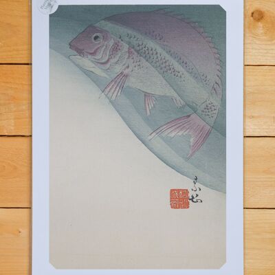 Plakat A3 Fisch im Wasser