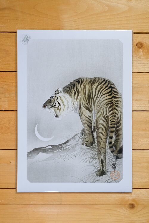 Poster A3 Roaring Tiger