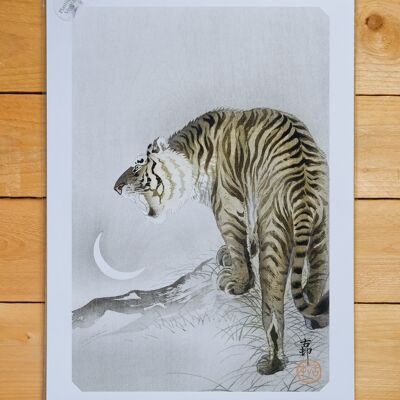 Plakat A3 brüllender Tiger