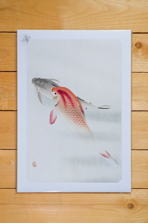 Poster A3 Two Carp