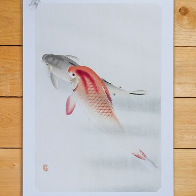 Poster A3 Two Carp