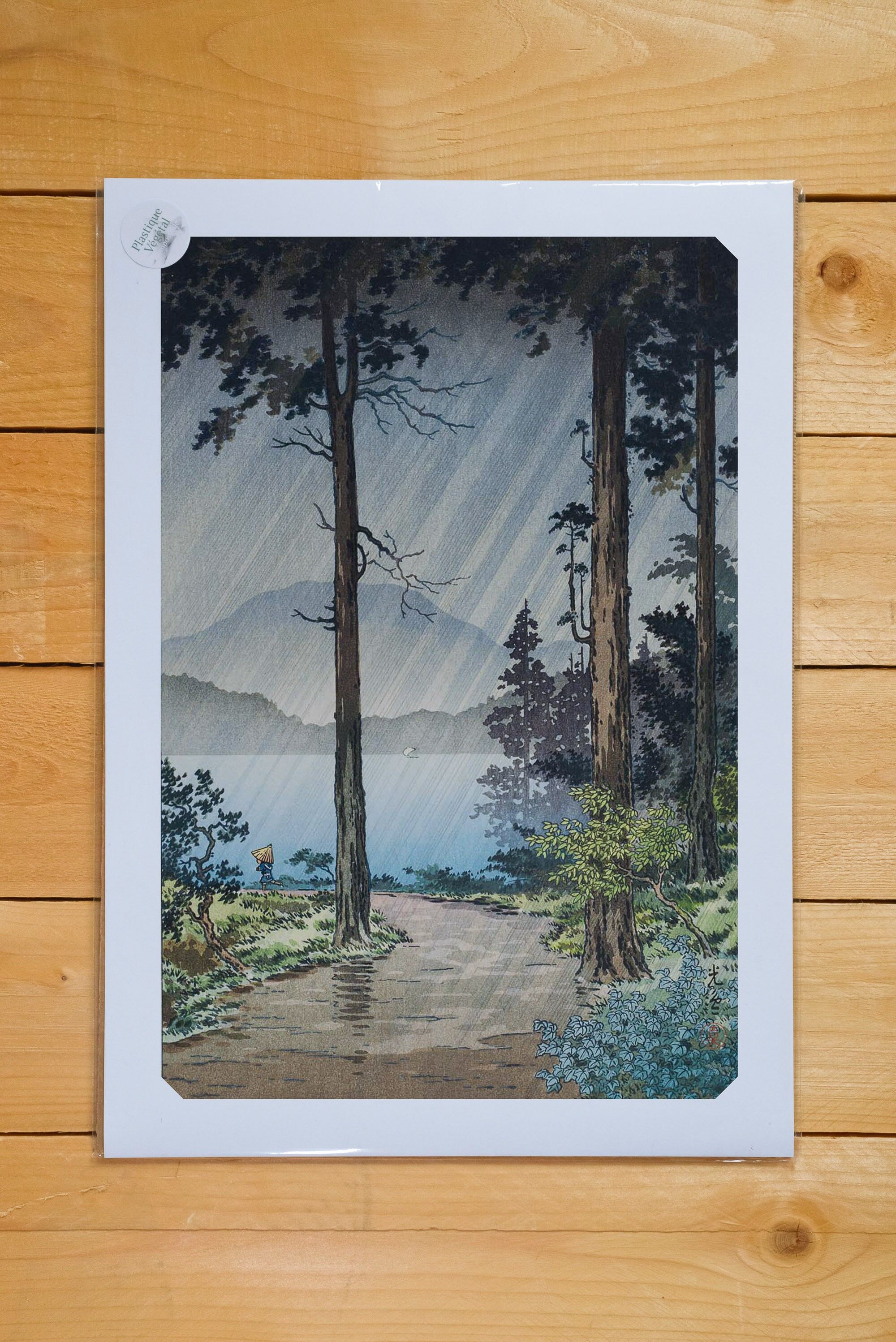 Poster A3 Lago Hakone