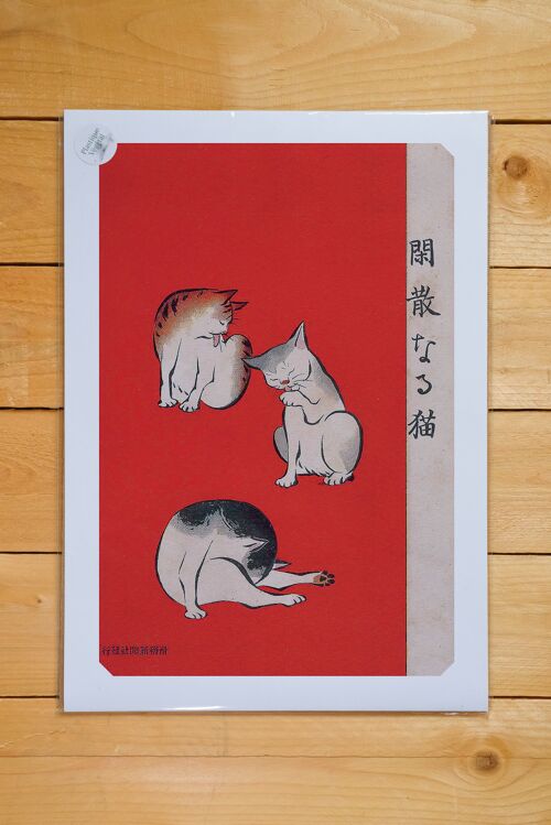 Poster A3 Quiet Cats