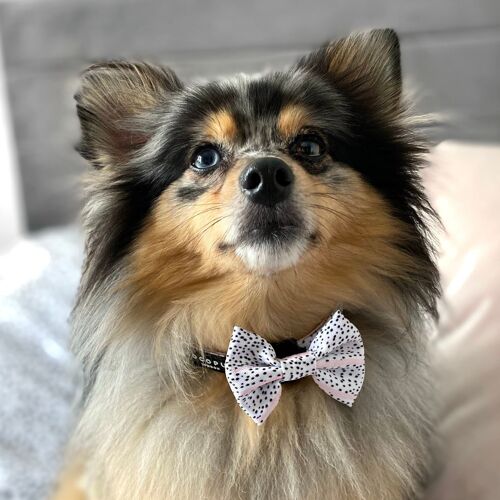 Pink Dalmatian Bow Tie