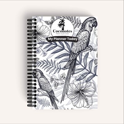 Coco collection MY PLANNER TODAY – PAROT