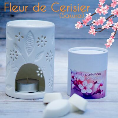 Sakura scented fondants (cherry blossom)