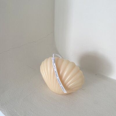 Cubico - Cream shell