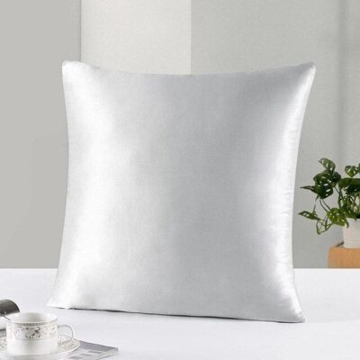 Silk 22 - Silvery Grey - 65x65 cm