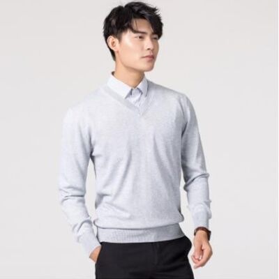 Cashmere 60 Round - gray v-neck - S