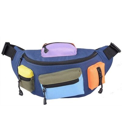 Multiple - 3 Waist pack