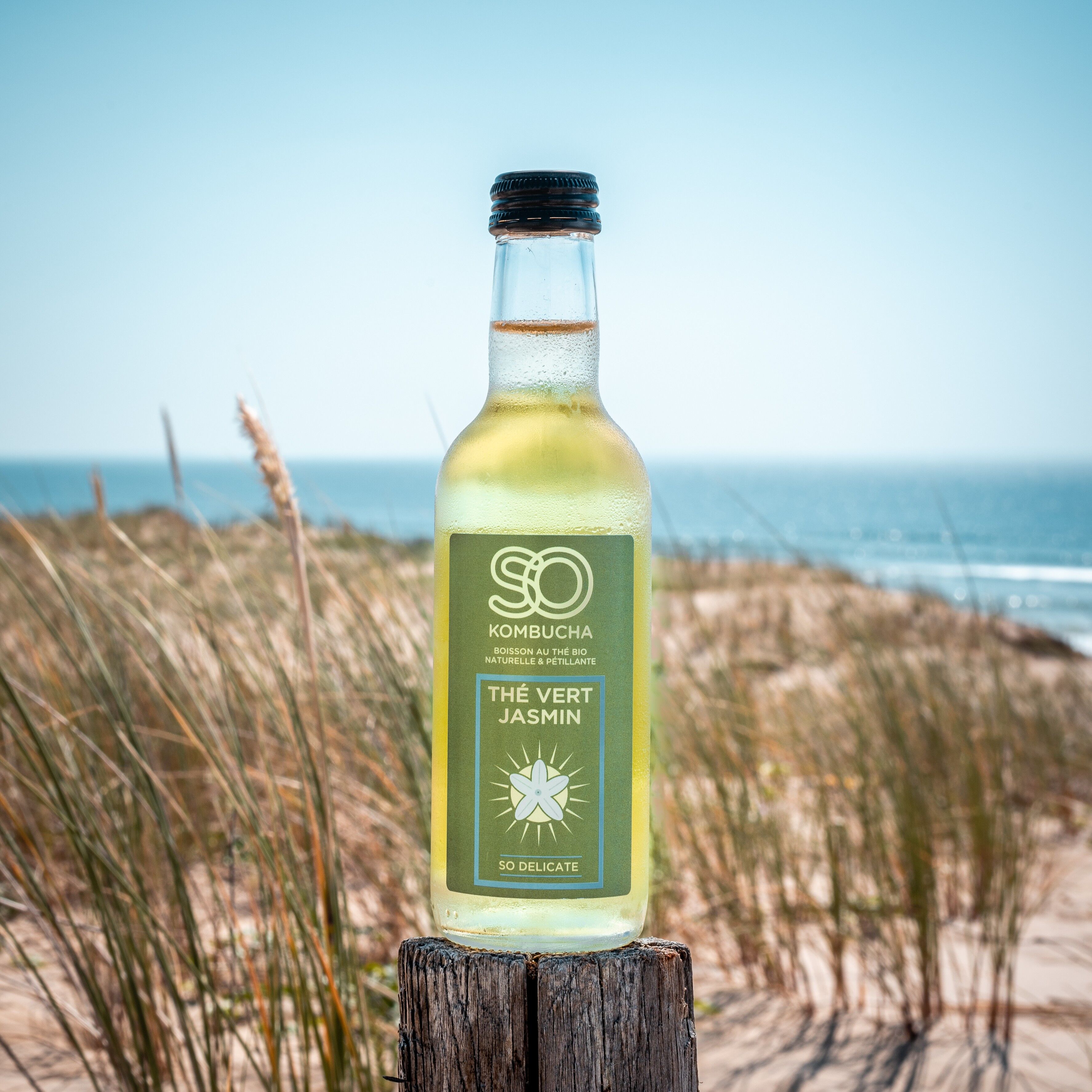 SO KOMBUCHA JASMINE GREEN TEE aus fermentiertem Grüntee – 250 ML