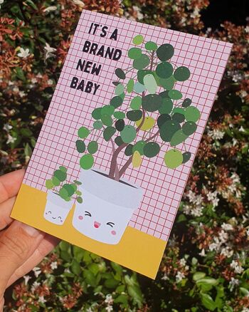 Carte de voeux nouveau bébé pilea pour les nouveau-nés et les amoureux des plantes 4