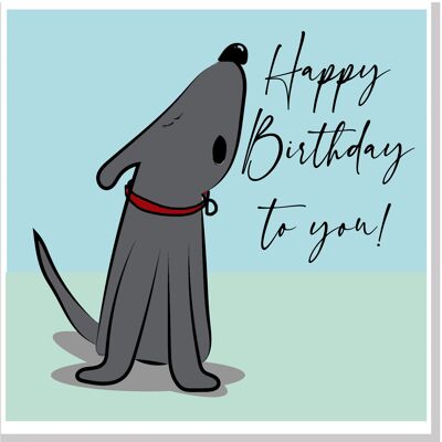 carte carrée Chien de joyeux anniversaire !…