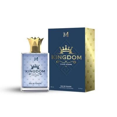 PARFÜM 100ML KINGDOM M0393