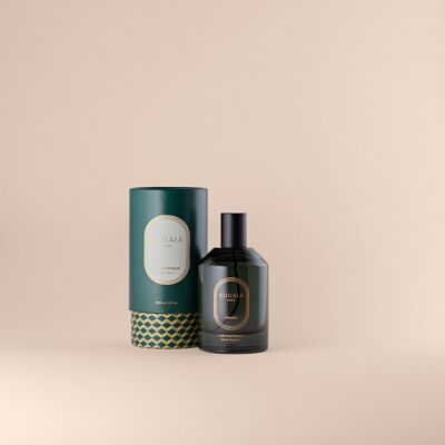 AIR D'INTÉRIEUR TAMARA - MADE IN FRANCE - NOTES AMBRÉES