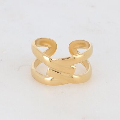 Large Analio ring - gold