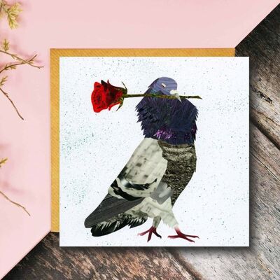 Pigeon Love Card, Sassy Pigeon, Casanova Pigeon Card, Pigeon Valentines Card, Pigeon Anniversary Card, Romantic Pigeon Card