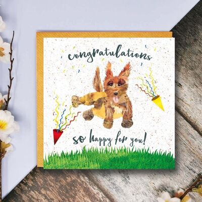 Congratulations Card, So Happy For You, Labradoodle Card, Blank, Quirky Card