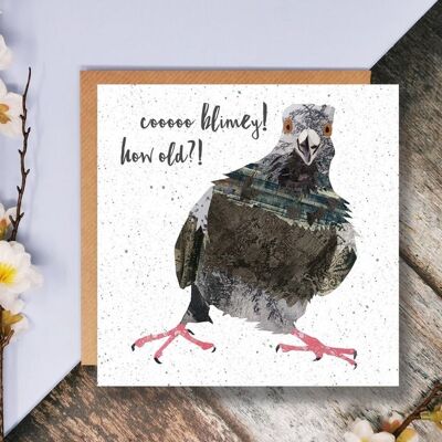 Cheeky Pigeon Birthday Card, How Old?! Pigeon Card, Quirky Bird Card, Illustrated in Collage